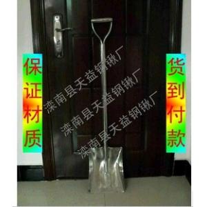 货到付款 特价批发天益 食品不锈钢锹 保证材质 304材质