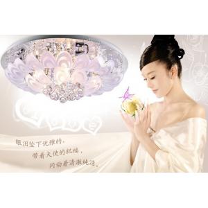 极浦照明水晶吸顶灯 客厅水晶灯 现代简约风格 5003 灯饰 灯具