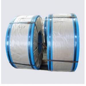 镀锡钢卷