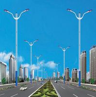 HDDLD-003道路灯