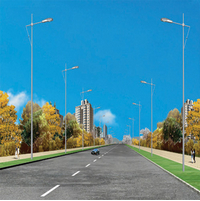 HDDLD-005道路灯