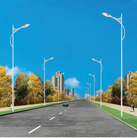 HDDLD-040道路灯