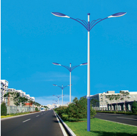 HDDLD-042道路灯