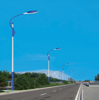 HDDLD-062道路灯