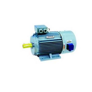 YVF2系列(IP54)变频调速专用三相异步电动机(H80-355)