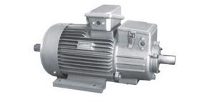 YZ/YZR系列(IP54)起重冶金三相异步电动机(H80-355)