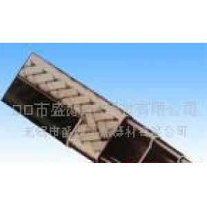 防爆电伴热带_1