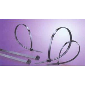 耐候级锁式扎带