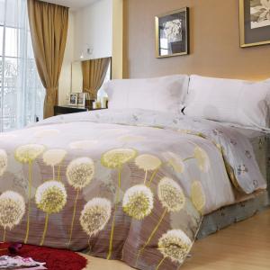 轻舞飞扬 进口双面天丝四件套