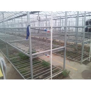 育苗架及喷灌系统