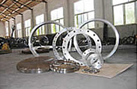 风电法兰
