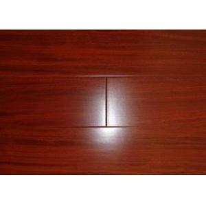 圆盘豆 2个颜色