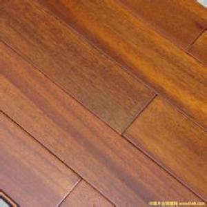 圆盘豆 2个颜色