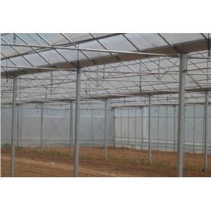 连栋大棚 单栋大棚 养殖大棚 蔬菜大棚 防虫棚