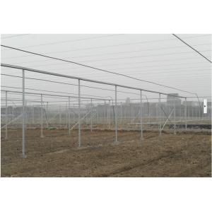 防蛀大棚 温室大棚 葡萄大棚 经久耐用 蔬菜大棚