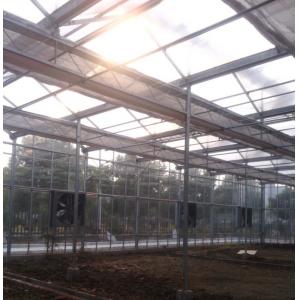 供应蔬菜大棚、花卉大棚、养殖大棚、大棚骨架