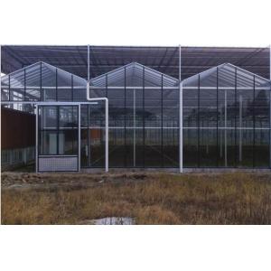棚玻璃温室 日光温室 PE温室