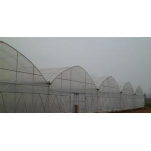 连栋大棚 单栋大棚 养殖大棚 蔬菜大棚 防虫棚