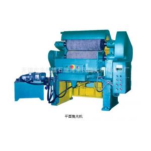 平面抛光机 平面抛光机组