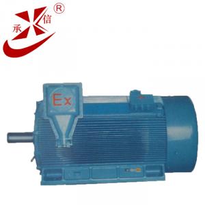 YB2系列高压隔爆型三相异步电动机