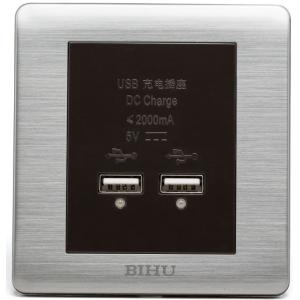 V1-142双联USB插座