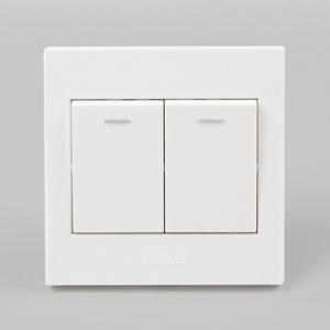 A6-004A双联单控大翘板开关