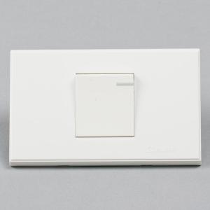 YZ118-001B  小一开 双控