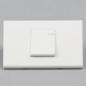 YZ118-043  多控开关