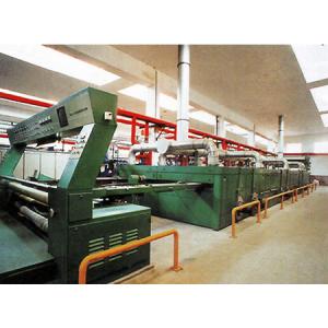 FD929拉幅热定型机