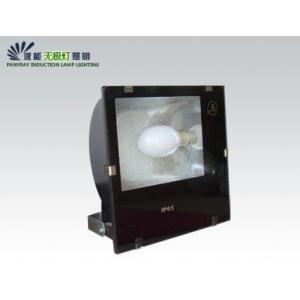 投光灯 PANY-IN-GP0204