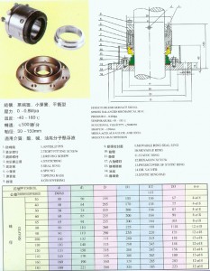 神州 204B型机械密封